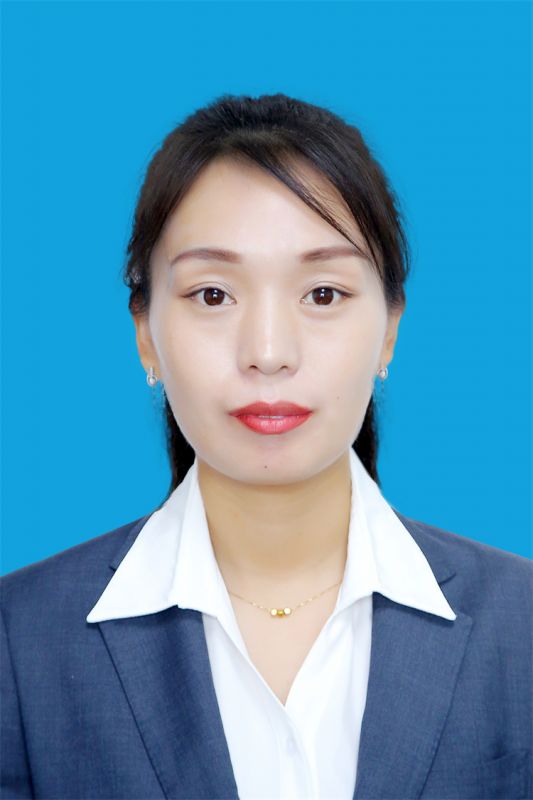 律师团队