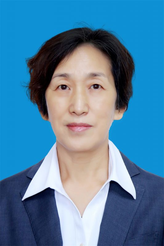 律师团队