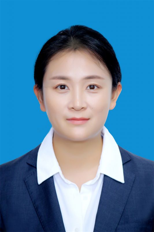 律师团队