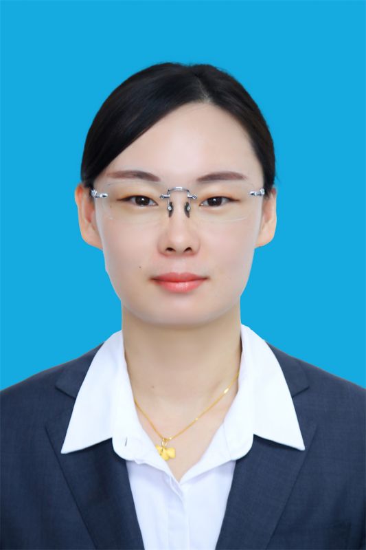 律师团队