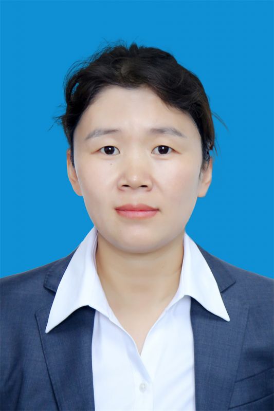 律师团队
