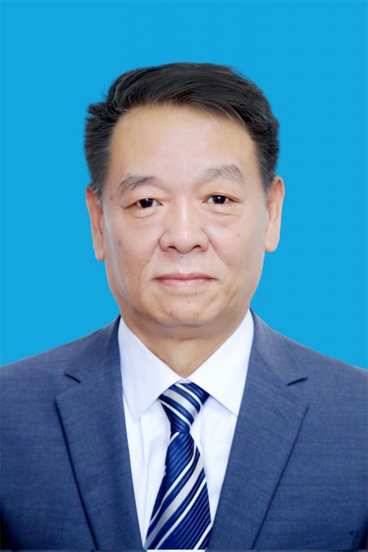 律师团队